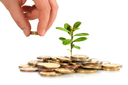 Should the L1/L2 foundation provide ecosystem grants to builders?